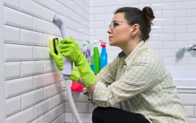 Cleaning Mold and Mildew In Your Bathroom – The Guide